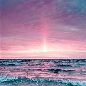 Meet your Posher, Alisha